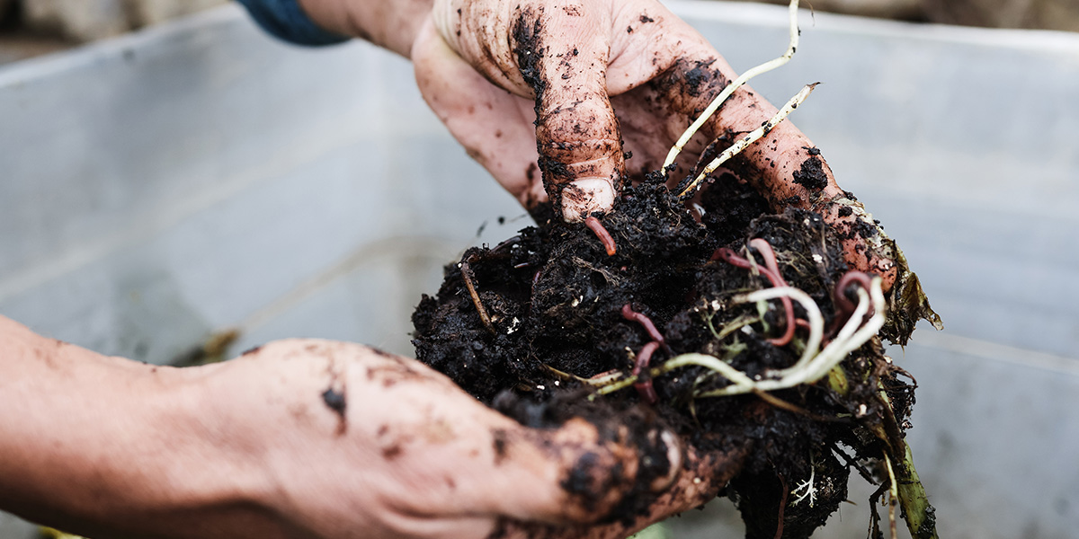 7 ways of how to use bokashi compost fermented mass